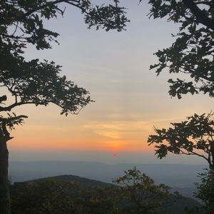 Meet your Posher, Evangeline